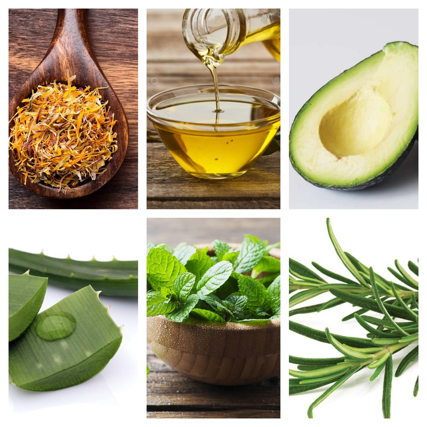 Rosemary & Mint Hair & Scalp Oil