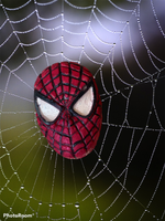 SPIDERMAN BATH BOMBS