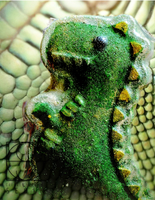 Dinosaurs, Reptiles & Bugs